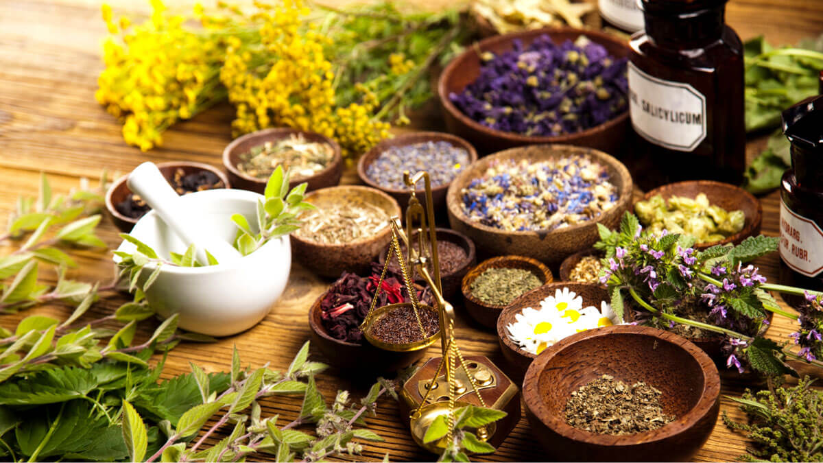 Herbal mixtures for gut health: an evolving perspective